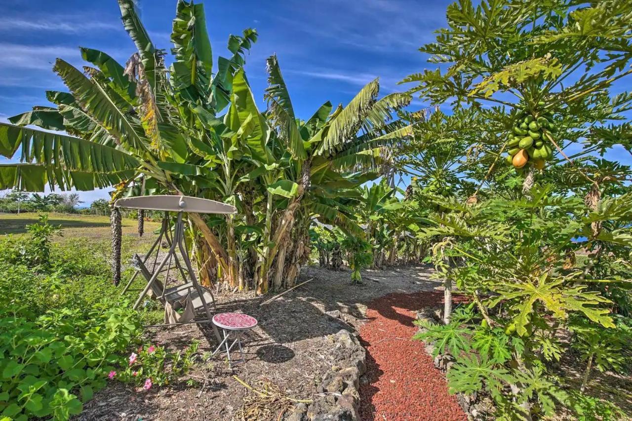 Tranquility Guest House Holualoa 외부 사진